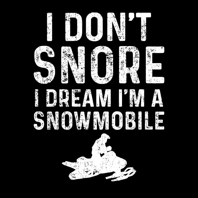 Snowmobile Snowmobiling Snowmobilers