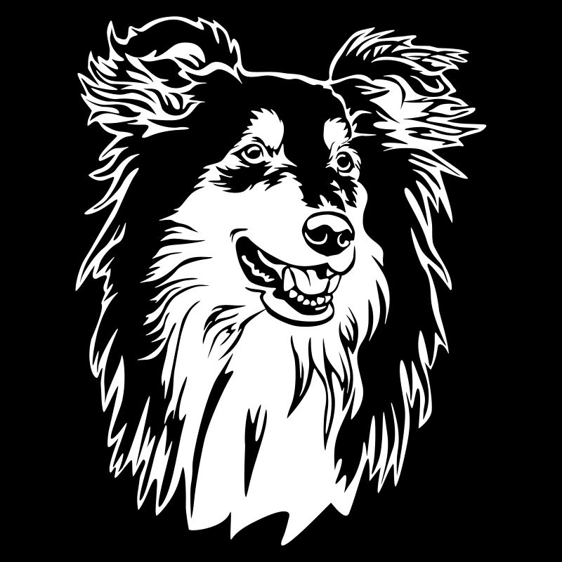 Collie Head "Black Edition"