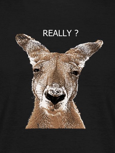 Kangaroo really