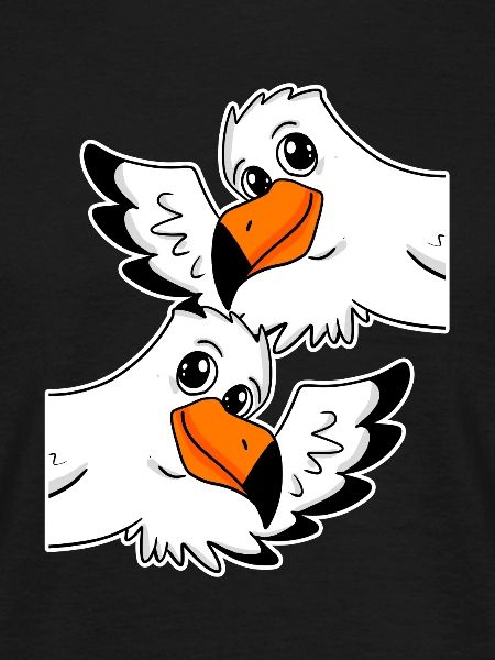 Möwe Möwen