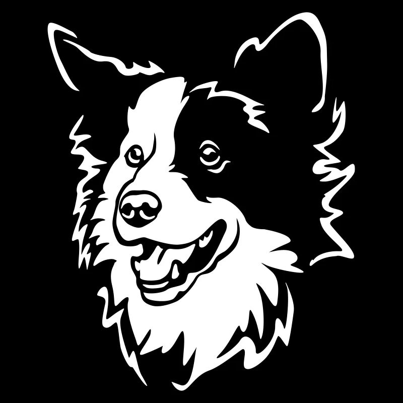Border Collie Kopf "Black Edition"