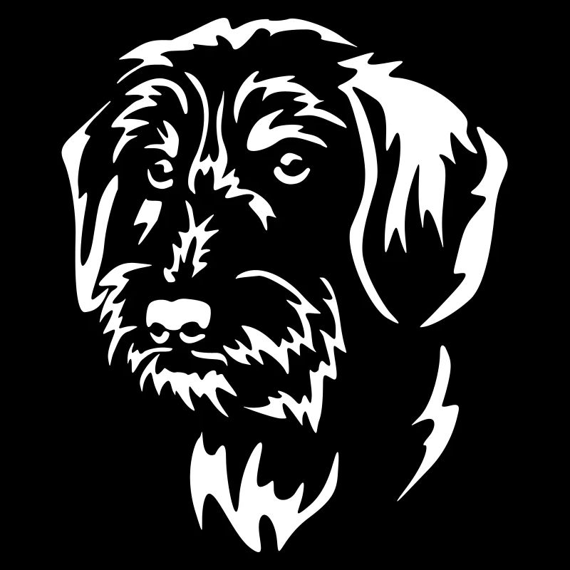 Tête de teckel « Black Edition »