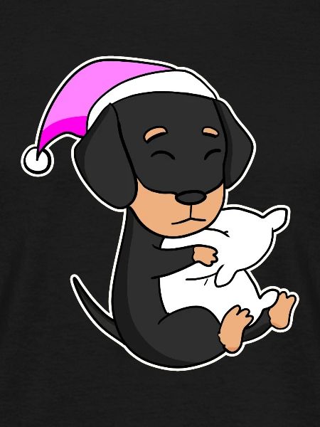 Dog Dog breed Dachshund