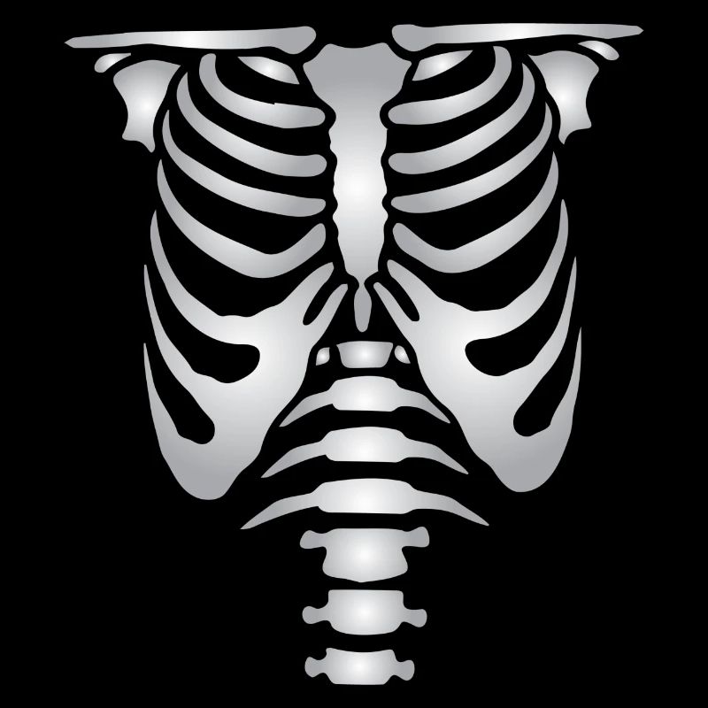 Human skeleton bones torso
