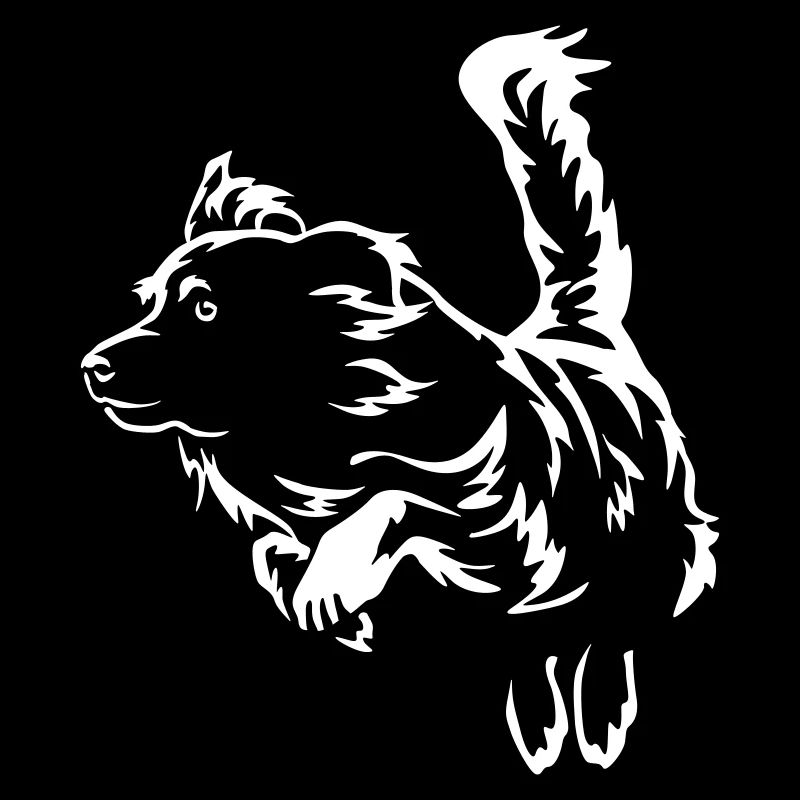 Australian Shepherd "Black Edition"