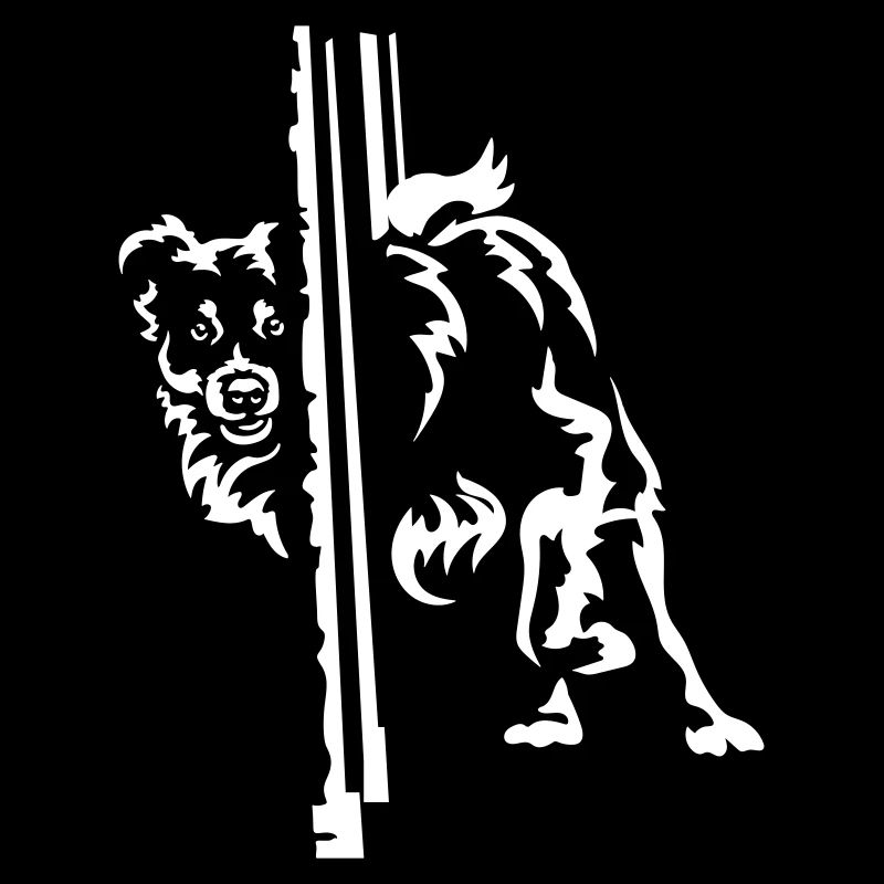 Australian Shepherd "Black Edition"