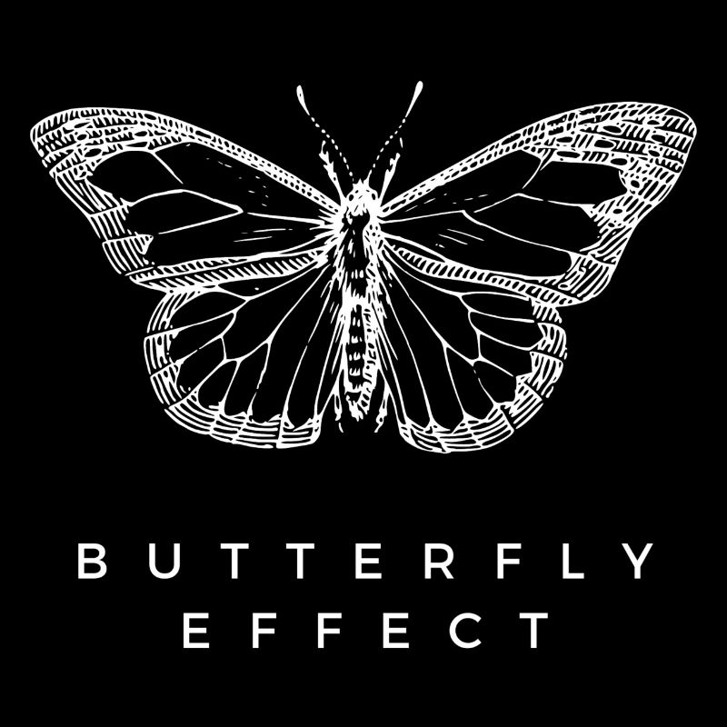 Butterfly Effect Chaos Theory Deep Thinker
