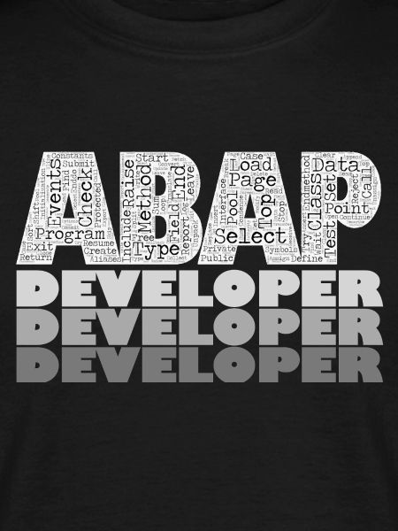 ABAP Developer