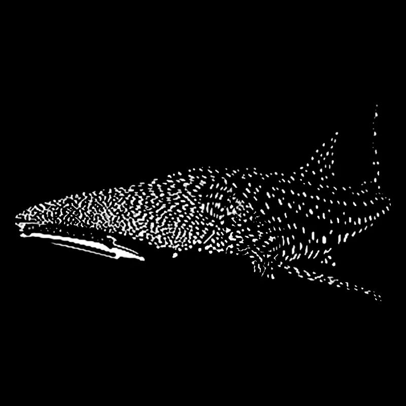 Whale shark