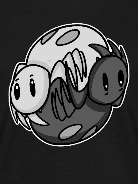 Yin Yang Spider