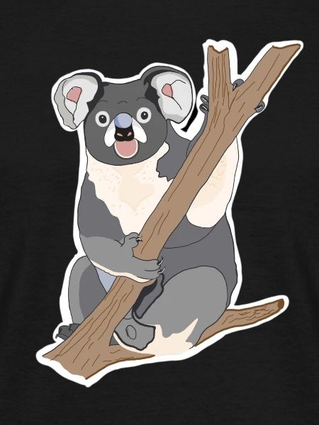 Koala Koala Bear