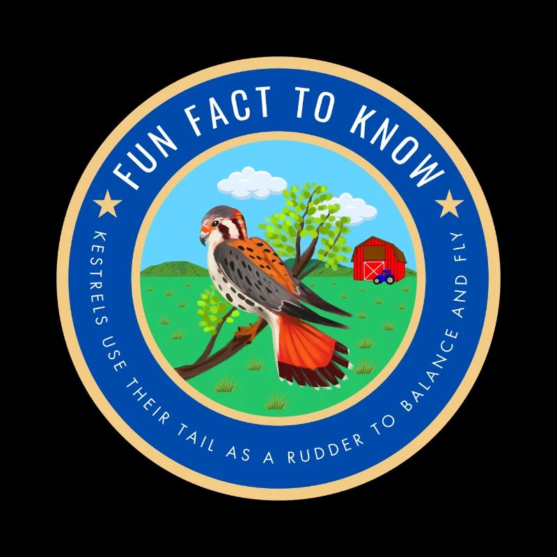 Kestrel fact