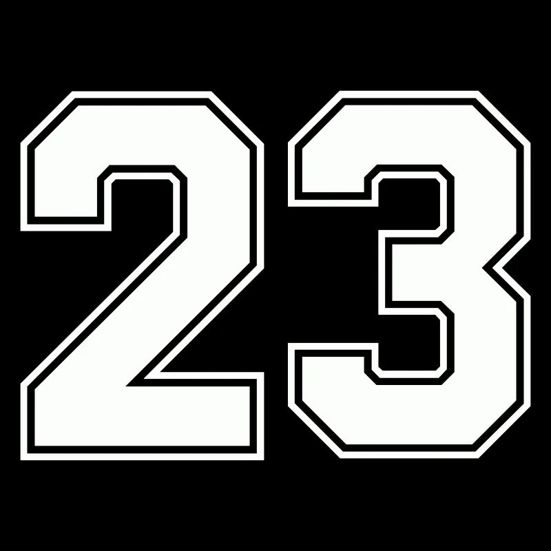 Geometric Number Design 23