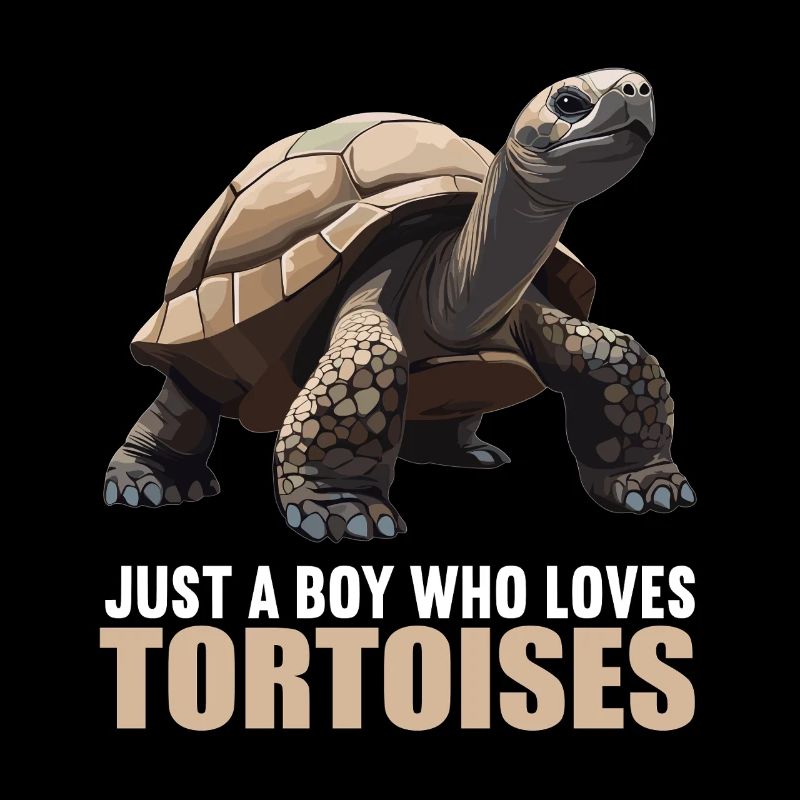 Tortoises Tortoise
