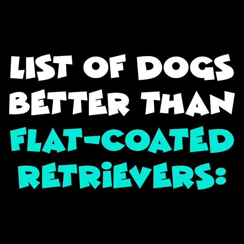 Retriever à poil plat
