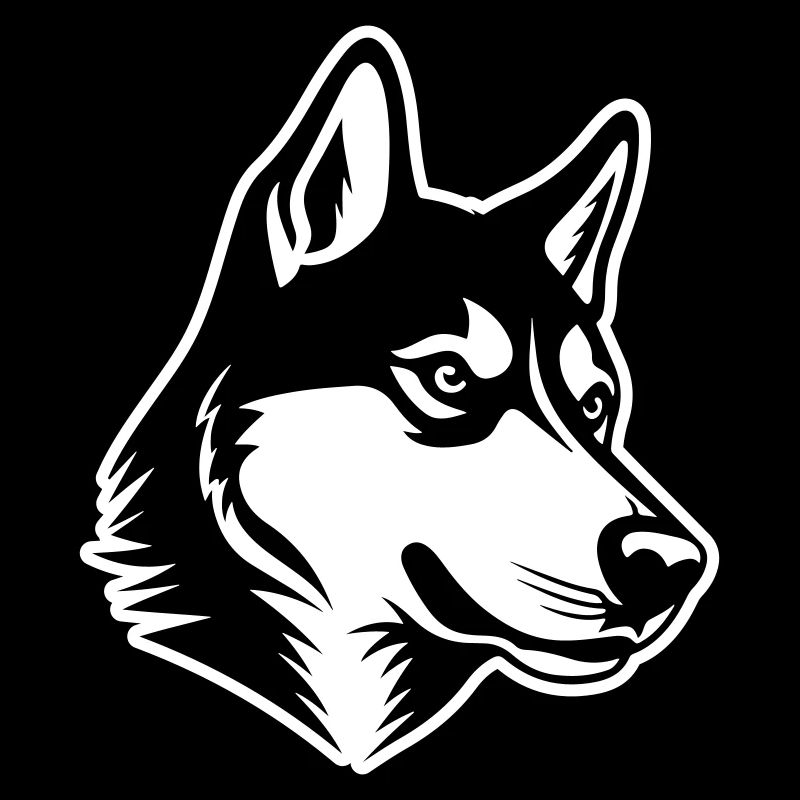 Husky Hund Kopf