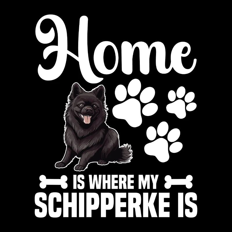 At home is my Schipperke