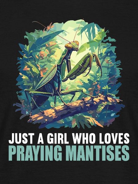 Praying mantises Praying mantis