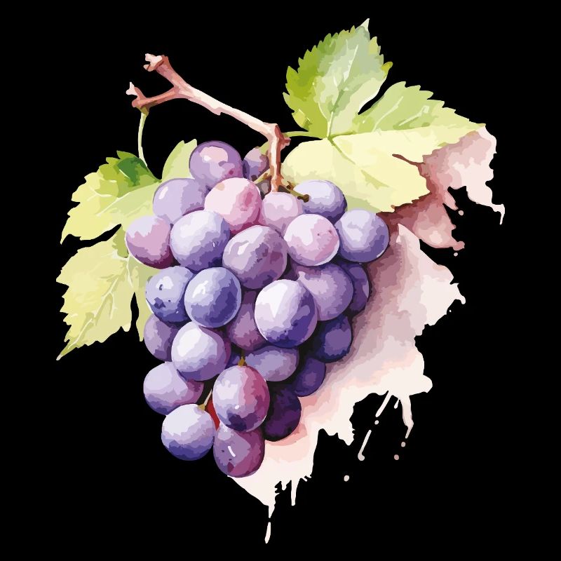 Grappe d’aquarelle de raisins