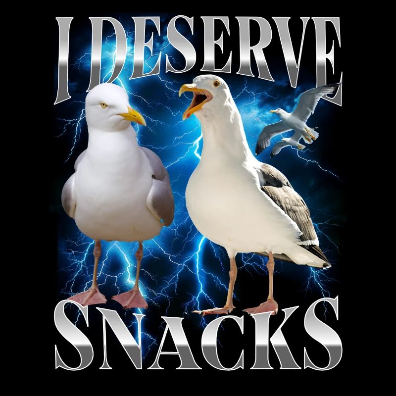 Seagulls Bootleg Design I Derserve Snacks