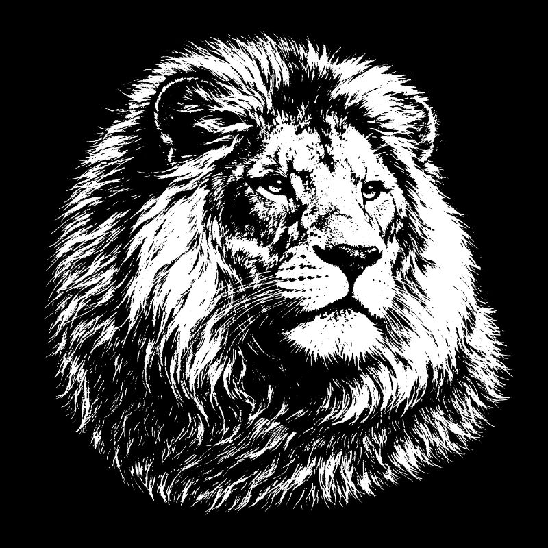 Leo – realistic black and white graphics
