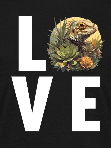 Lizards Lizard