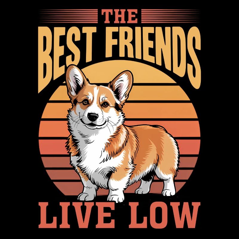 Corgi de race de chien drôle