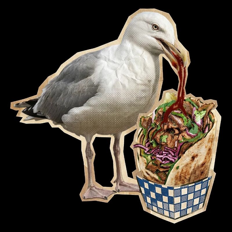 Kebab Seagull