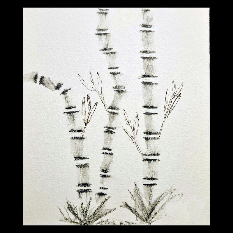 Dessin en bambou à l’encre