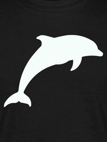 Glowing Dolphin Silhouette