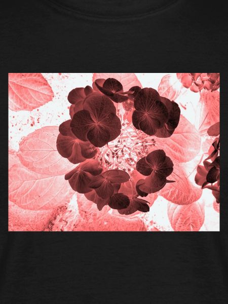 Rote Hydrangea Florales Muster