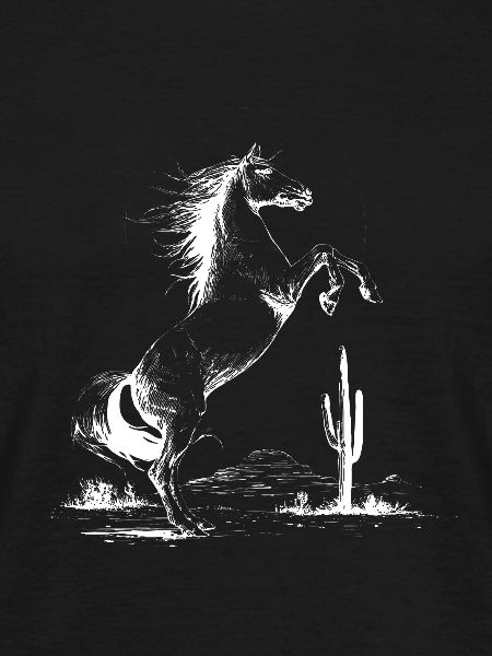 Desert Silhouette