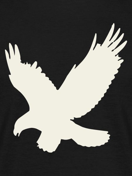 Eagle silhouette in flight