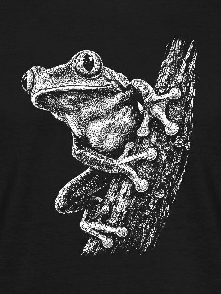 Kleiner Frosch am Ast