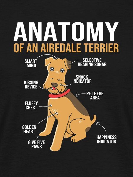 Airedale Terrier