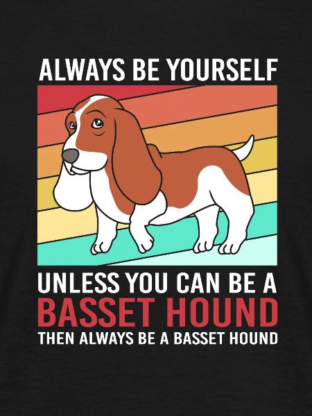 Basset Hound