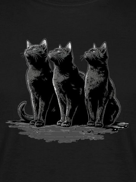 Katzen 