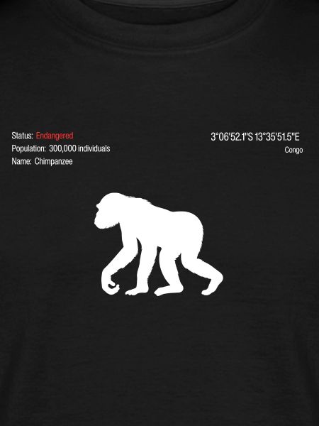 Chimpanzee