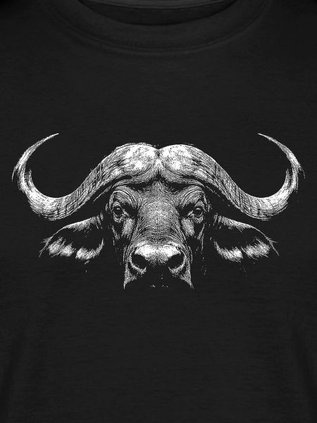 Cape buffalo