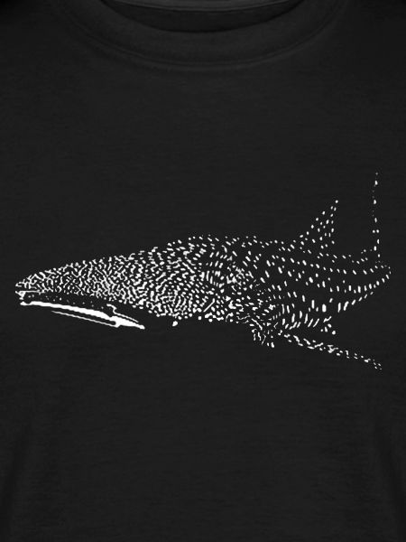 whale shark