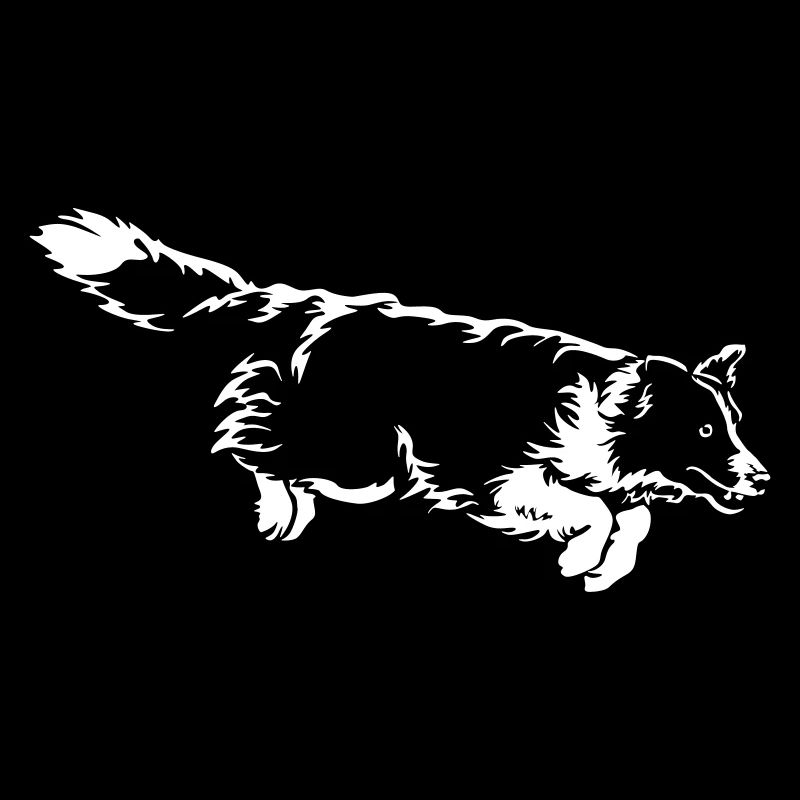 Border Collie "Black Edition"