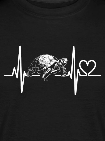 sea turtle turtle