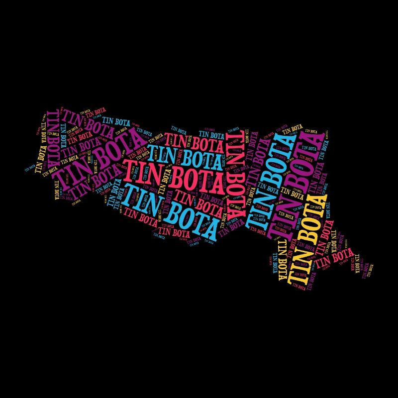 T-Shirt Tin Bota Emilia Romagna Geschenk-T-Shirt