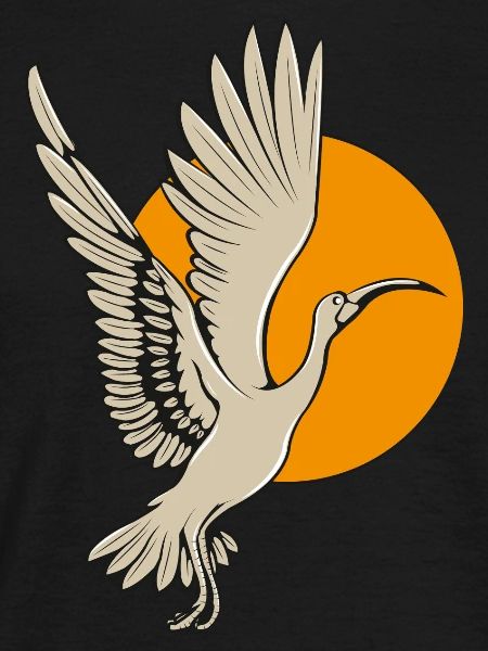 Ibis