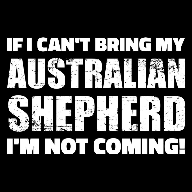 Australian shepherd