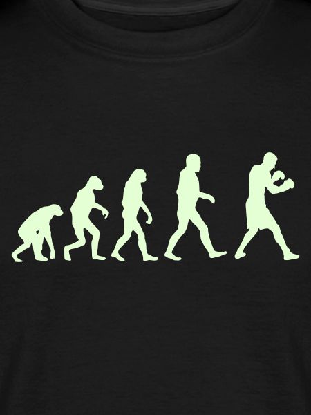 Boxing Evolution logo