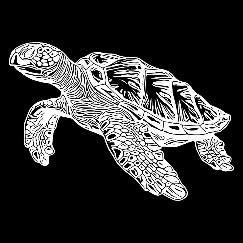 Elegant Swimming Turtles for Divers