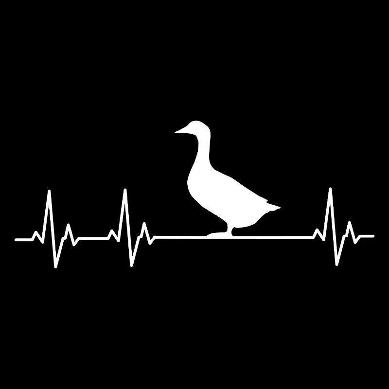Canard - Canards - Éleveur de canards - Amour