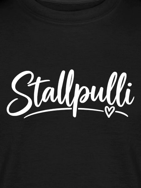 Stallpulli - Pferd - Reiterin - Stall - Pullover