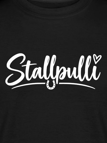 Stallpulli - Pferd - Reiterin - Stall - Pullover